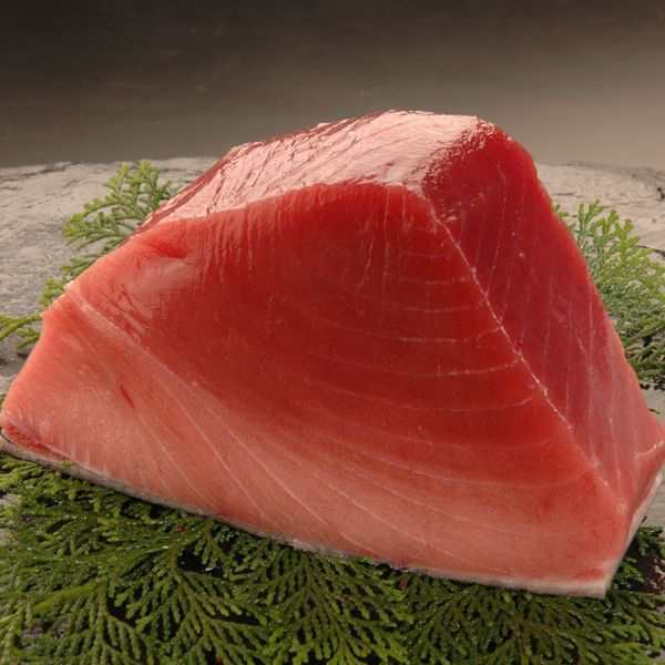 まぐろ/Bluefin tuna